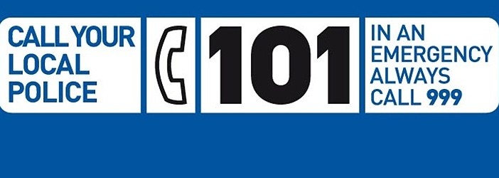 101 Logo
