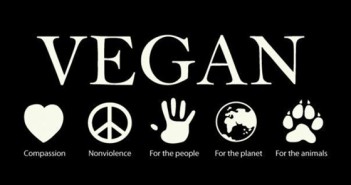 Vegan 101 : Leading a Clean Eating and Healthy Life