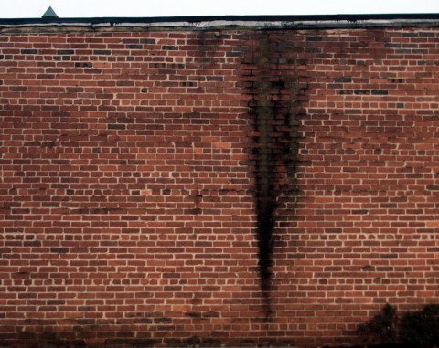 Brick Wall, Stain (Silver Spring, MD)